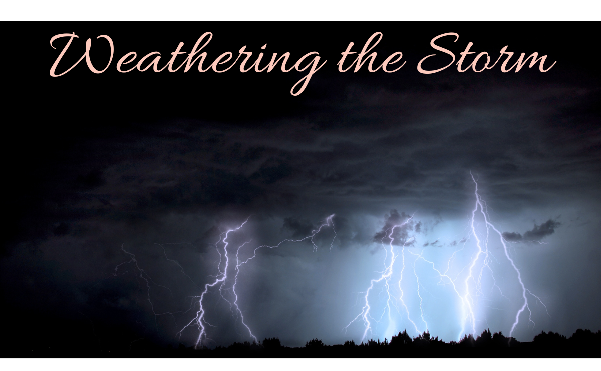 Weathering the Storm